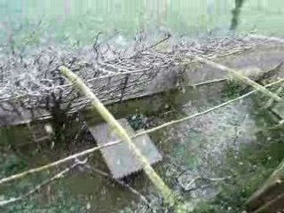 Neige du 29 avril 4