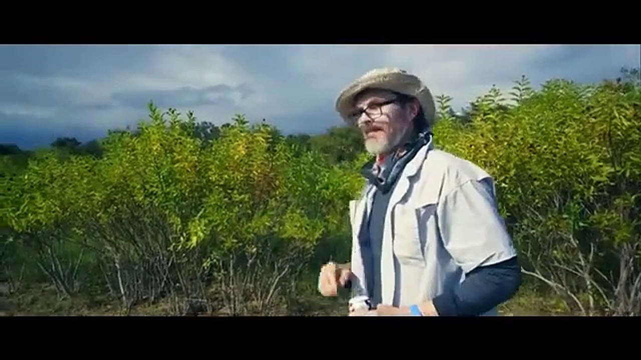 ATAQUE DE TIBURÓN PELICULA DE SUSPENSO EN ESPANOL LATINO HD