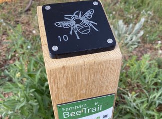 Launch of Farnham Bee Trail