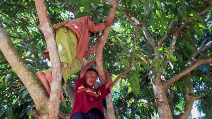 CERITA HARI INI KITA KENANG NANTI