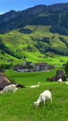 📍 Schwende, Switzerland Follow for daily Content