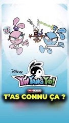 T’as Connu Yin Yang Yo ? ☯️🐇