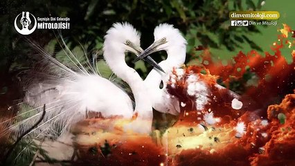 BAKTERİLERİ ALLAH YARATMADI MI