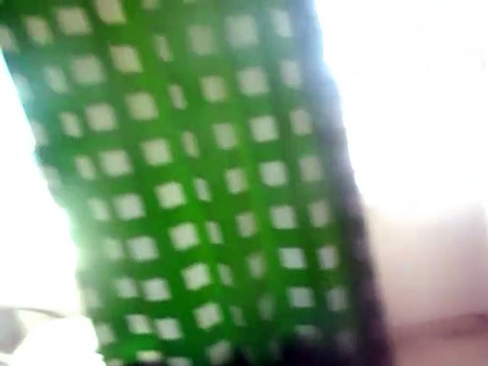 Ihana Auringonpaiste