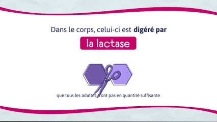 Courmayeur - Motion Design