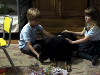 El Internado 5x07 El rey de la baraja