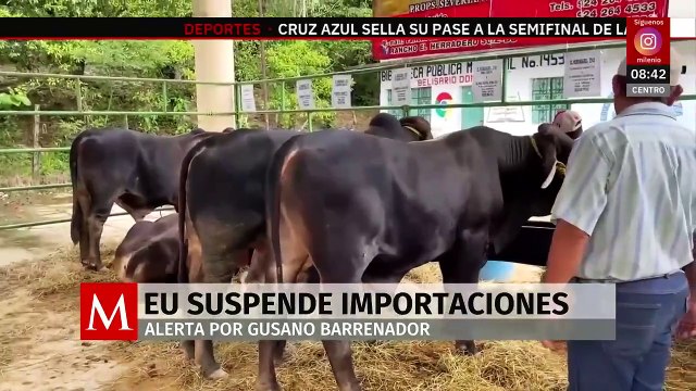 EU suspende importaciones agrícolas por alerta de gusano barredor
