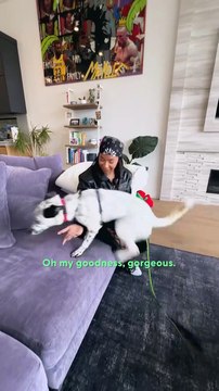 🥇 Deaf Pup Juniper’s Olympic-Level Date with Gymnast Jordan Chiles! 🐾🌟