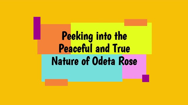Exploring the Soft and Natural Charm of Odeta Rose