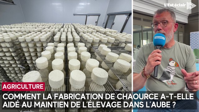 Comment la fabrication de chaource a-t-elle aidé au maintien de l’élevage dans l’Aube ?