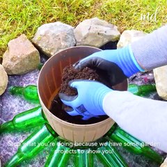DIY easy garden projects 🏡🌳