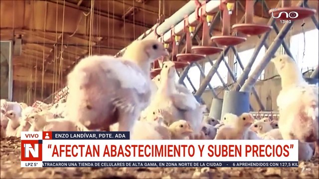 Avicultores preocupados por bloqueos