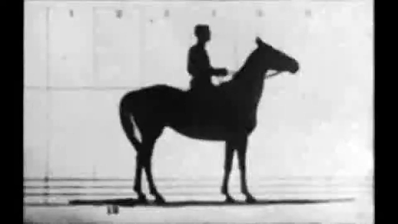 Sallie Gardner at a Gallop 1878 The Horse in Motion