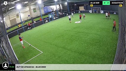 But de Ayman M - Blue Bird