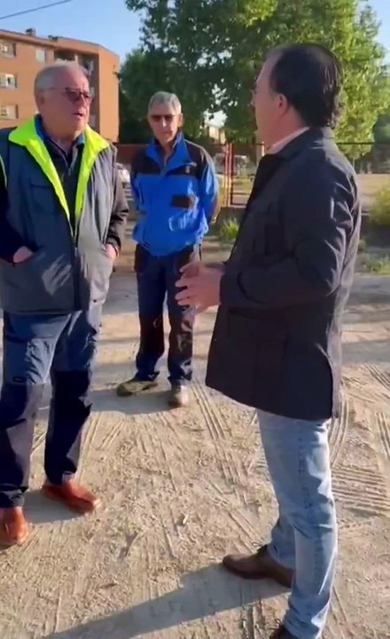 Los patos vuelven a La Alameda