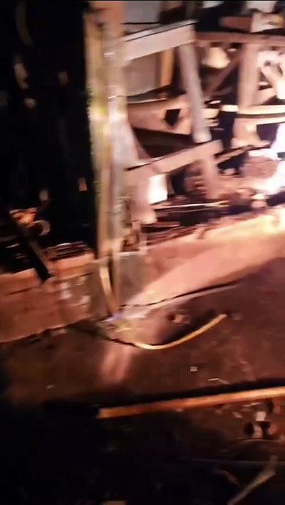 ONG Latidos do Bem resgata animais abandonados e pede ajuda para tratamento