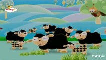 babytv herbraico idents כבשים