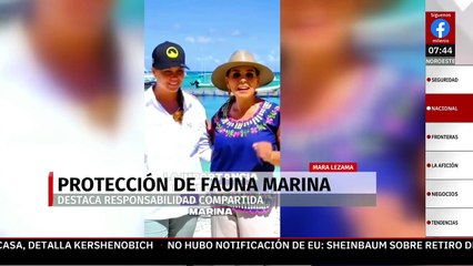 Proteger la fauna marina, en especial tiburones, es tarea compartida: Mara Lezama