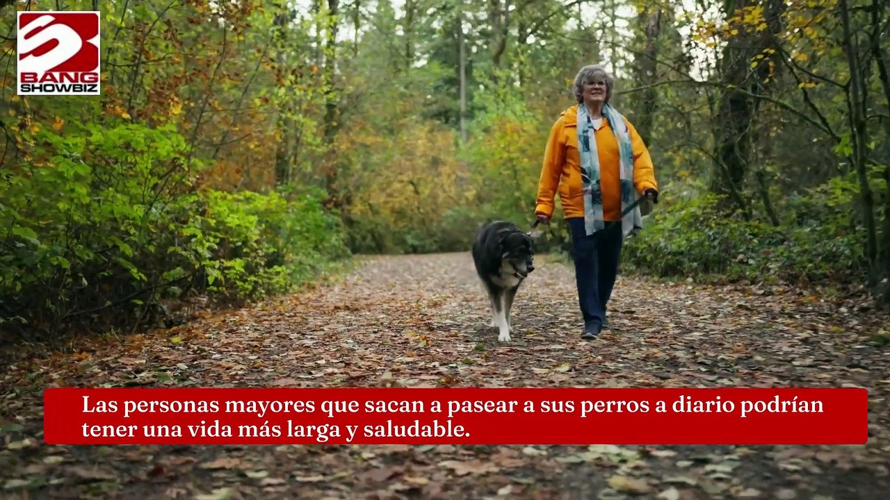 Los paseos regulares con un perro podrían alargar la vida de las personas mayores y mejorar su salud