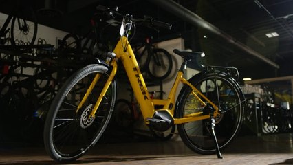 Trek CEO says tariffs could potentially "have a huge impact on employment levels"