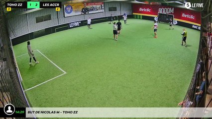 But de Nicolas M - Toho Zz
