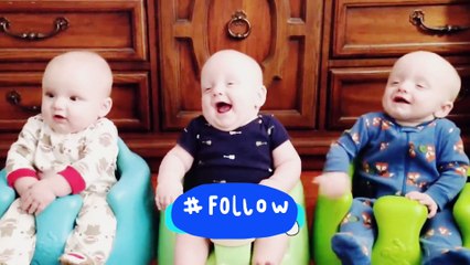 Twins babies laughing video