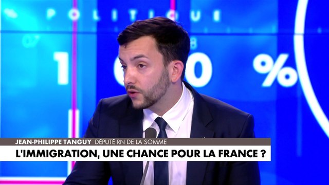 Jean-Philippe Tanguy : «Beaucoup d'immigrés en situation régulière soutiennent les élus du RN»