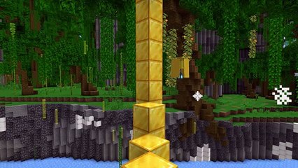 $100,000 Minecraft Skills Duel Dream VS Daquavis