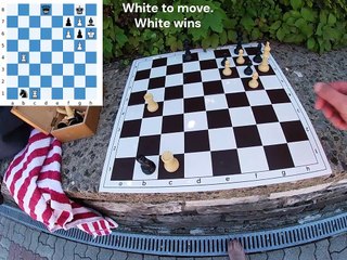 Avoiding stalemates is the issue – Study composed by Peter Krug