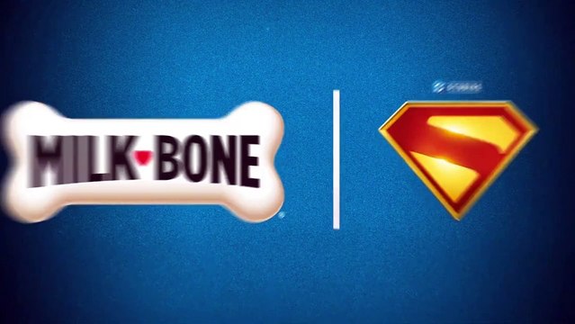 Superman - Com Krypto e Sr Incrível, filme ganha teaser com cenas inéditas #superman