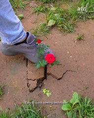 Making work in the garden easier for you!💯⚒️