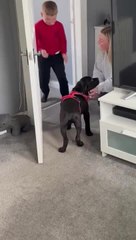 Parents Surprise Their 7-Year-Old Son With His First-Ever Puppy