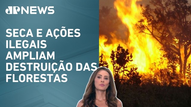 Ibama autua 242 crimes ambientais e multas somam mais de R$ 460 milhões; Patricia Costa comenta