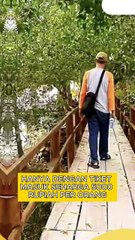 Pulau Semut, Wisata Asri dan Murah Meriah di Pekanbaru