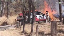 Por falta de pago, brigadistas forestales advierten que no atenderán más incendios