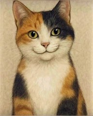 Trend Kim Seon-Ho Super Natural versi Kucing