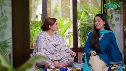 Na Tum Jano Na Hum Episode 29 (Subtitle) 12th May 2025 _ Hassan Khan - Hina Tariq _ Green TV(360P)
