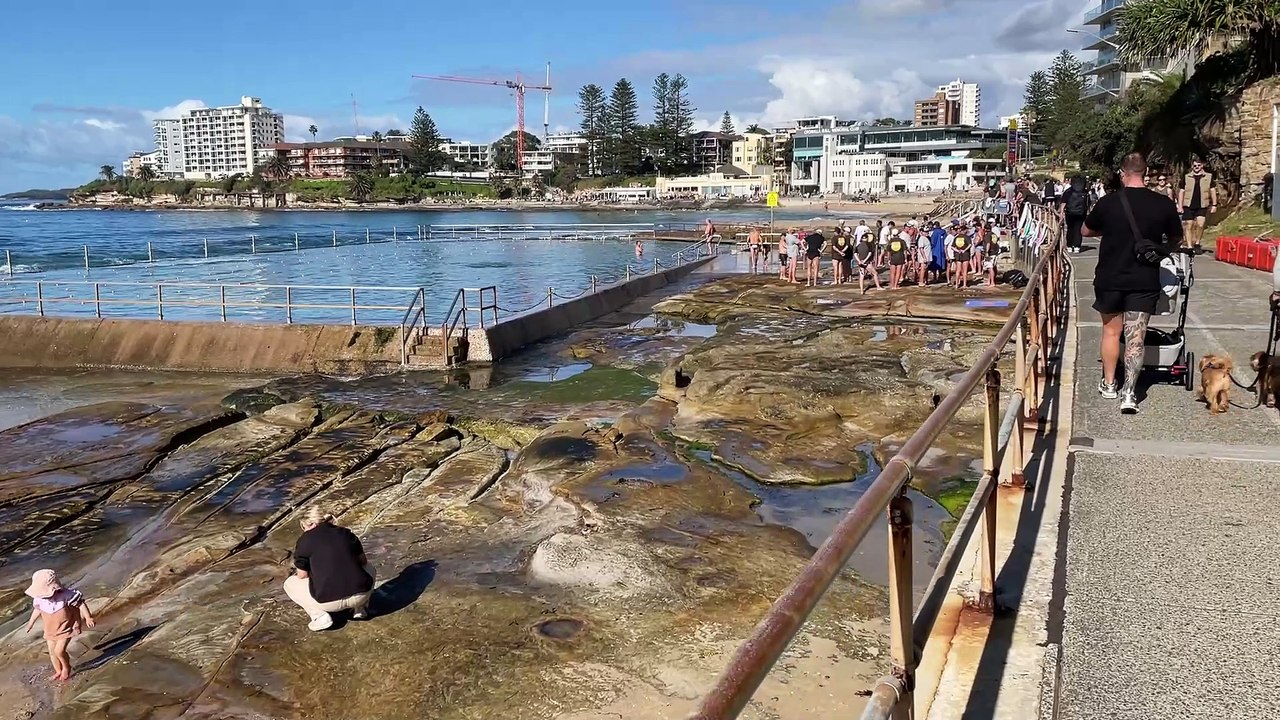 Cronulla Polar Bears