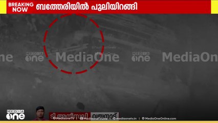 വയനാട് സുൽത്താൻബത്തേരി ടൗണിൽ പുലിയിറങ്ങി