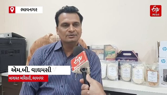 કમોસમી વરસાદથી થયેલા નુકસાનનો સર્વે શરૂ થયો, કયા પાકોમાં થયું સૌથી વધુ નુકસાન ? જાણો