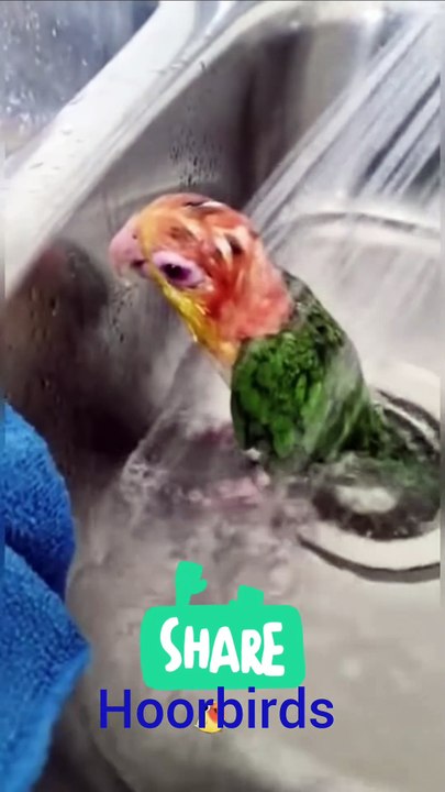 Be sure to subscribe to our channel and hit the notification bell (🔔) so you never miss any of the fun!