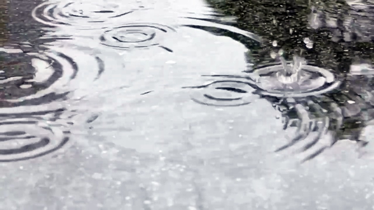 雨の日の水たまり　雨のしずくの波紋　三島圭将