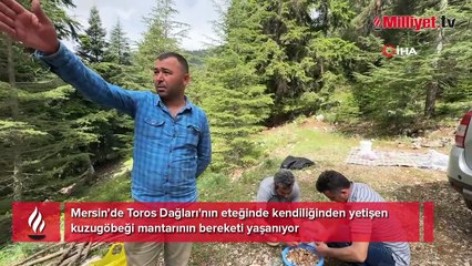 Tüm köy ihya oldu: Altın bulsak belki bu kadar sevinmeyiz