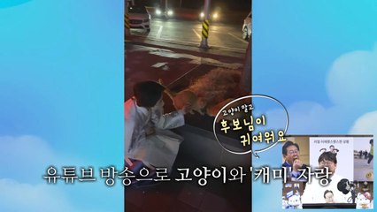 [영상] "고양이보다 귀여운 이재명"‥춤추는 '꼿꼿문수' / YTN