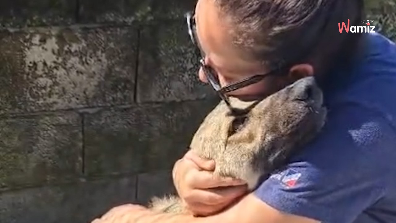 Rosalinda no debería crecer entre rejas: necesita una familia que le enseñe lo que es el amor