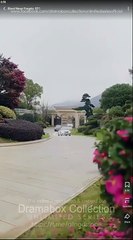 Blood Never Forgets Full Chinese Drama