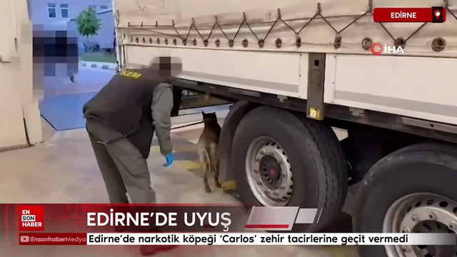 Edirne'de narkotik köpeği 'Carlos' zehir tacirlerine geçit vermedi