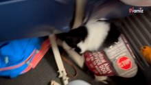 Durante las instrucciones de la azafata, decide grabar lo que se esconde en su equipaje debajo del asiento (Vídeo)