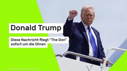 Donald Trump: Diese Nachricht fliegt "The Don" sofort um die Ohren