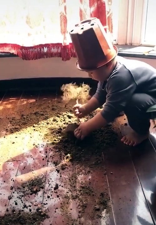 Chines cute baby girl and dad new viral funny video 😂📸 chines viral funny video 📸🤣 chines baby's new viral funny video 😂🥰#shorts #shortvideos #funnyvideos #viralvideos #viralshorts #comedy #chines #chinesbaby